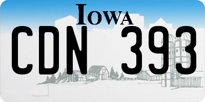 IA license plate CDN393