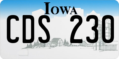 IA license plate CDS230