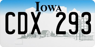 IA license plate CDX293