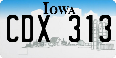 IA license plate CDX313
