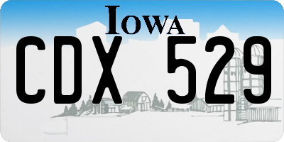 IA license plate CDX529