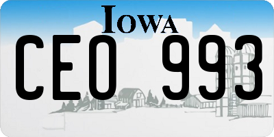 IA license plate CEO993