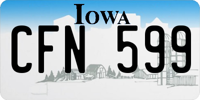 IA license plate CFN599