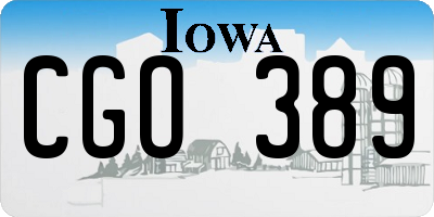 IA license plate CGO389