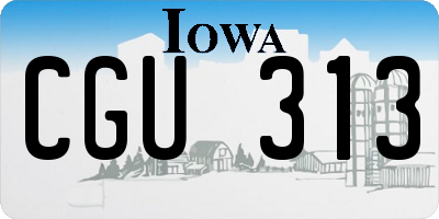 IA license plate CGU313