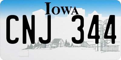 IA license plate CNJ344