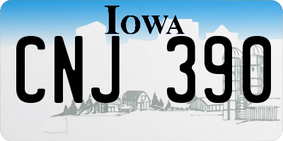 IA license plate CNJ390