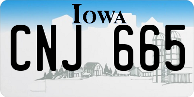 IA license plate CNJ665