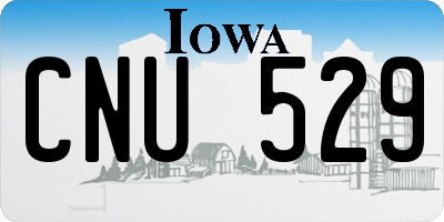 IA license plate CNU529
