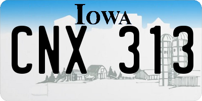 IA license plate CNX313