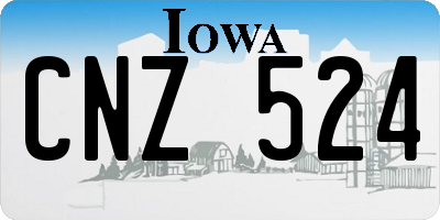 IA license plate CNZ524