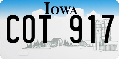 IA license plate COT917