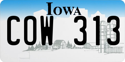 IA license plate COW313