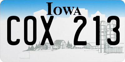 IA license plate COX213
