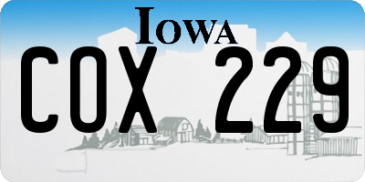 IA license plate COX229