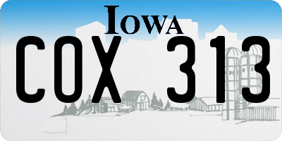 IA license plate COX313