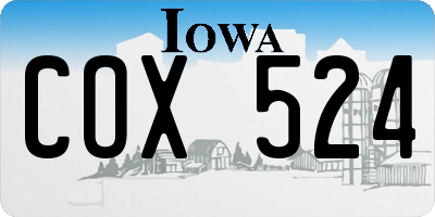 IA license plate COX524