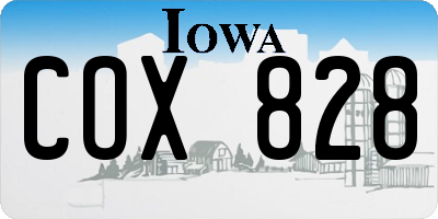 IA license plate COX828