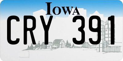IA license plate CRY391