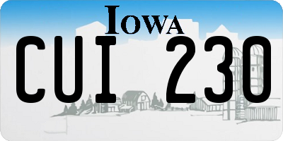 IA license plate CUI230