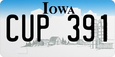 IA license plate CUP391