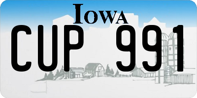 IA license plate CUP991