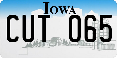 IA license plate CUT065