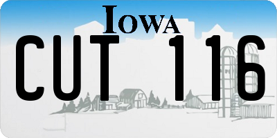 IA license plate CUT116
