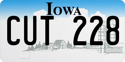 IA license plate CUT228