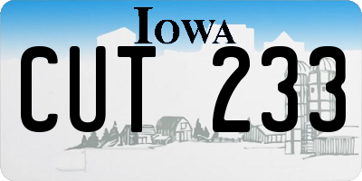 IA license plate CUT233