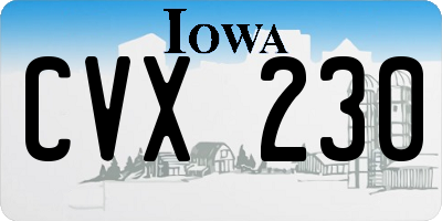 IA license plate CVX230