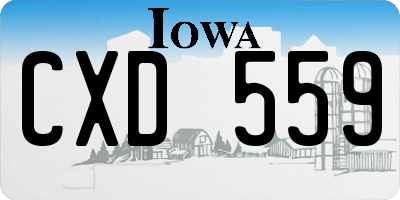 IA license plate CXD559