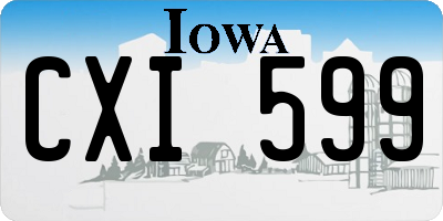 IA license plate CXI599