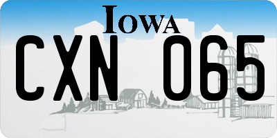 IA license plate CXN065