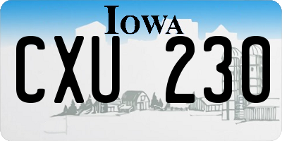 IA license plate CXU230