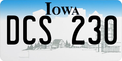 IA license plate DCS230