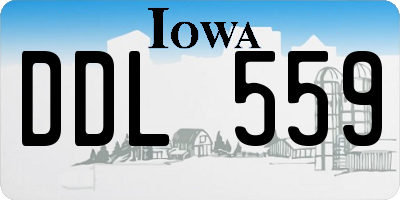 IA license plate DDL559