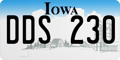 IA license plate DDS230