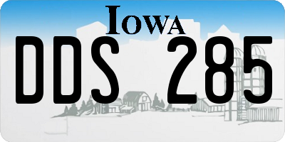 IA license plate DDS285