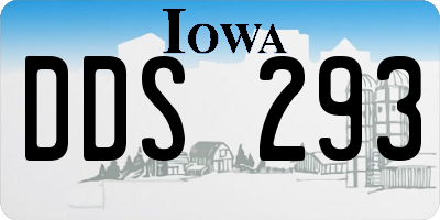 IA license plate DDS293