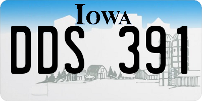 IA license plate DDS391