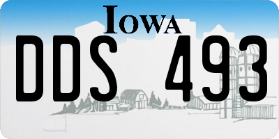 IA license plate DDS493