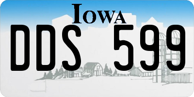 IA license plate DDS599