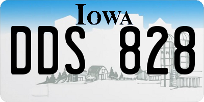 IA license plate DDS828