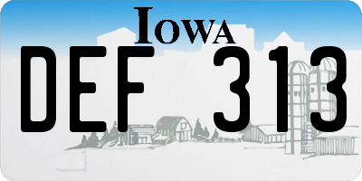 IA license plate DEF313