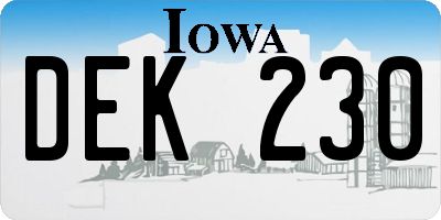 IA license plate DEK230