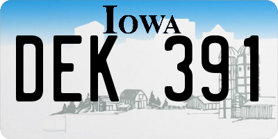 IA license plate DEK391
