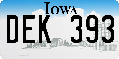 IA license plate DEK393