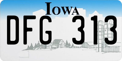 IA license plate DFG313