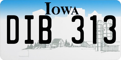 IA license plate DIB313